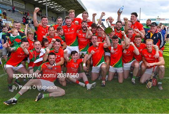 St Anne's Rathangan v Rapparees - Wexford Senior County Hurling Championship Final