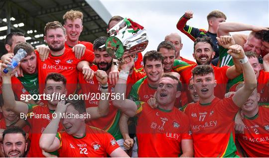 St Anne's Rathangan v Rapparees - Wexford Senior County Hurling Championship Final