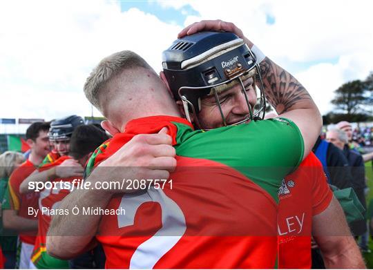 St Anne's Rathangan v Rapparees - Wexford Senior County Hurling Championship Final