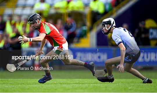 St Anne's Rathangan v Rapparees - Wexford Senior County Hurling Championship Final