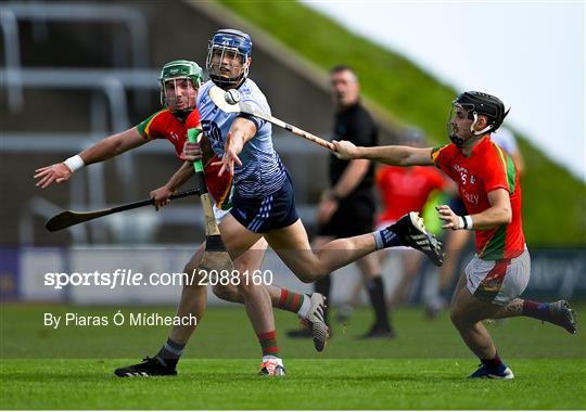 St Anne's Rathangan v Rapparees - Wexford Senior County Hurling Championship Final