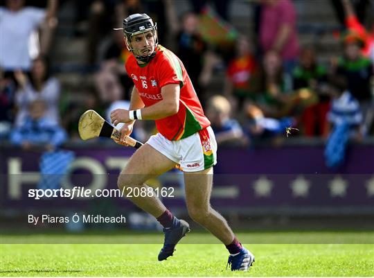 St Anne's Rathangan v Rapparees - Wexford Senior County Hurling Championship Final