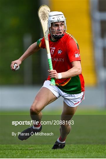 St Anne's Rathangan v Rapparees - Wexford Senior County Hurling Championship Final