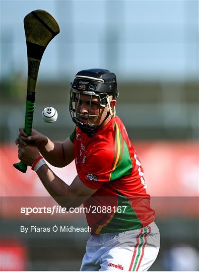 St Anne's Rathangan v Rapparees - Wexford Senior County Hurling Championship Final