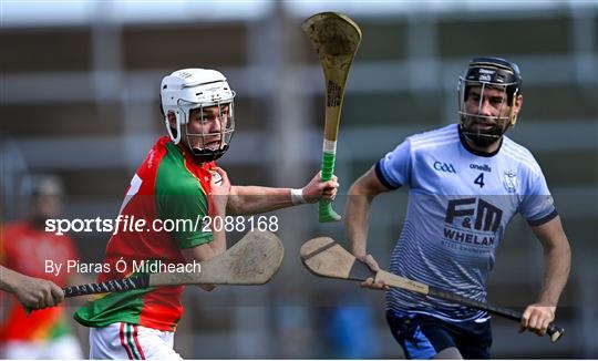 St Anne's Rathangan v Rapparees - Wexford Senior County Hurling Championship Final