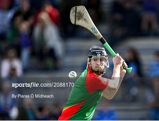 St Anne's Rathangan v Rapparees - Wexford Senior County Hurling Championship Final