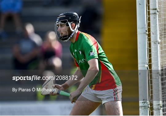 St Anne's Rathangan v Rapparees - Wexford Senior County Hurling Championship Final