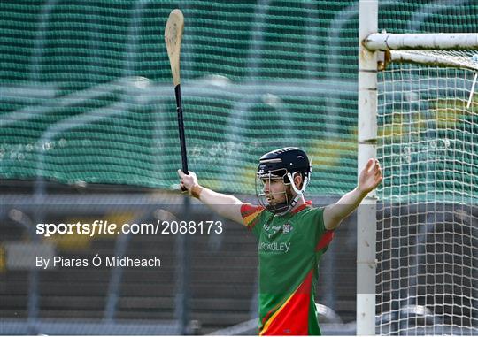 St Anne's Rathangan v Rapparees - Wexford Senior County Hurling Championship Final