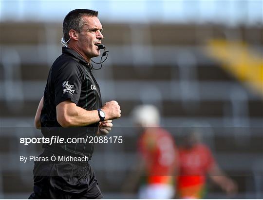 St Anne's Rathangan v Rapparees - Wexford Senior County Hurling Championship Final