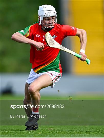 St Anne's Rathangan v Rapparees - Wexford Senior County Hurling Championship Final