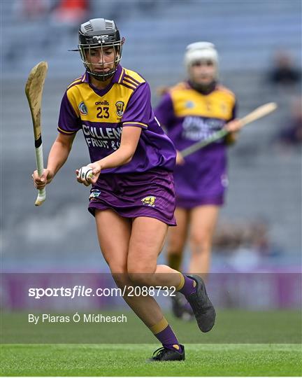 Armagh v Wexford - All-Ireland Premier Junior Camogie Championship Final