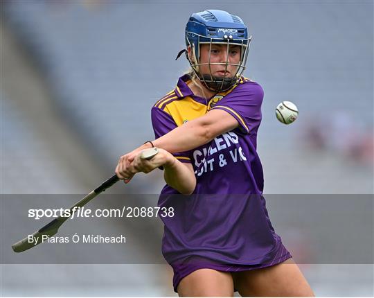 Armagh v Wexford - All-Ireland Premier Junior Camogie Championship Final