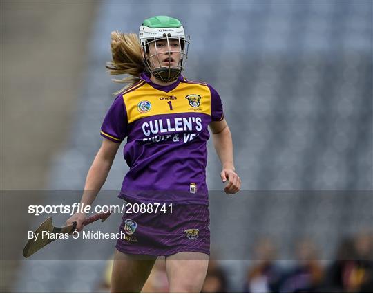 Armagh v Wexford - All-Ireland Premier Junior Camogie Championship Final