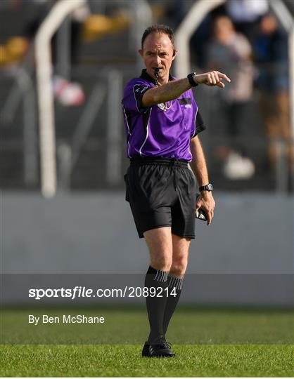 Mount Leinster Rangers v St Mullins - Carlow Senior County Hurling Championship Final