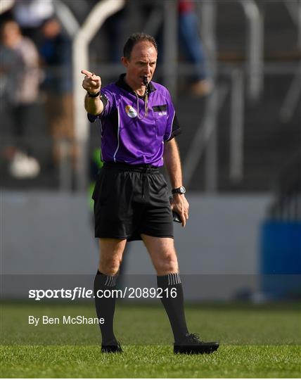 Mount Leinster Rangers v St Mullins - Carlow Senior County Hurling Championship Final