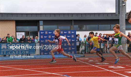 Aldi Community Games Track and Field Athletics Finals Aldi Community Games Track and Field Athletics Finals