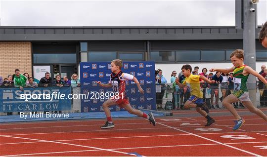 Aldi Community Games Track and Field Athletics Finals