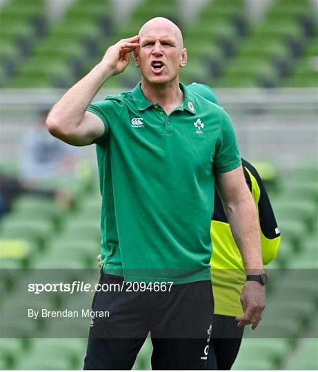 Ireland v Japan - International Rugby Friendly