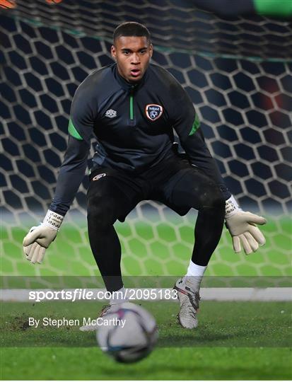 Republic of Ireland Training Session