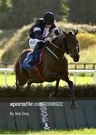 Horse Racing from Limerick