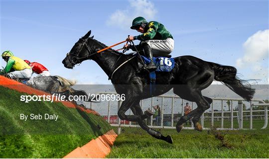 Horse Racing from Limerick