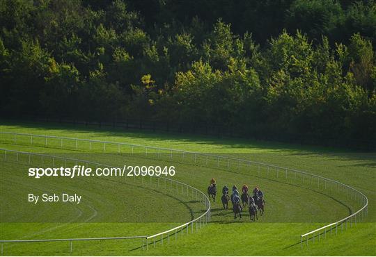 Horse Racing from Limerick Horse Racing from Limerick