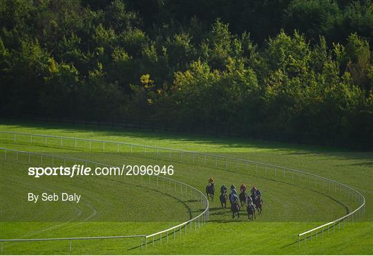 Horse Racing from Limerick