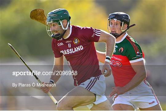 James Stephen's v Dicksboro - Kilkenny County Senior Hurling Championship Quarter-Final