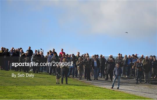 Horse Racing from Limerick