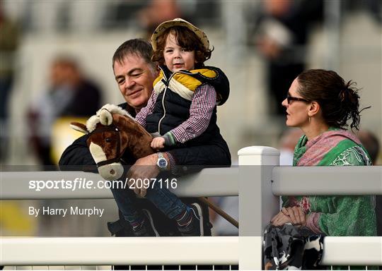 Horse Racing from The Curragh