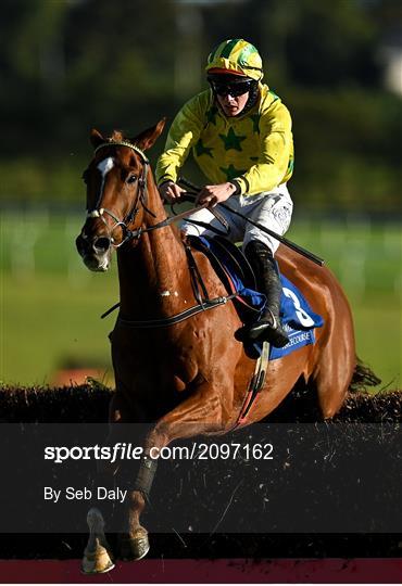 Horse Racing from Limerick