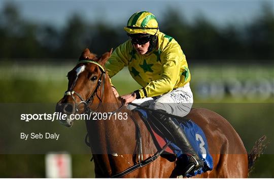 Horse Racing from Limerick