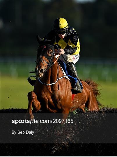 Horse Racing from Limerick