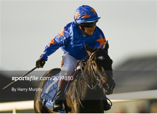 Horse Racing from The Curragh Horse Racing from The Curragh