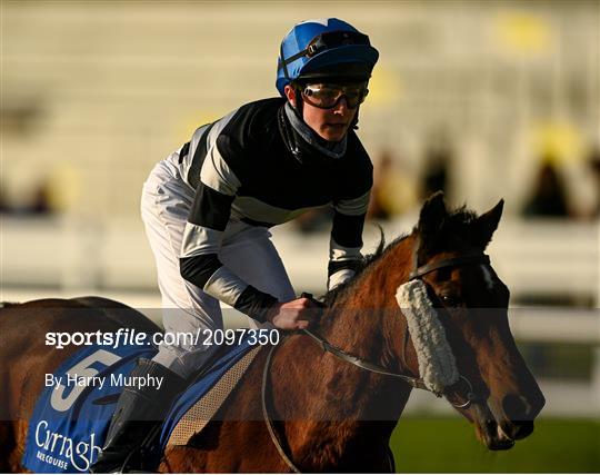 Horse Racing from The Curragh