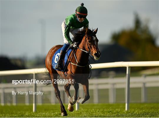 Horse Racing from The Curragh