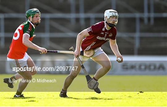 James Stephen's v Dicksboro - Kilkenny County Senior Hurling Championship Quarter-Final