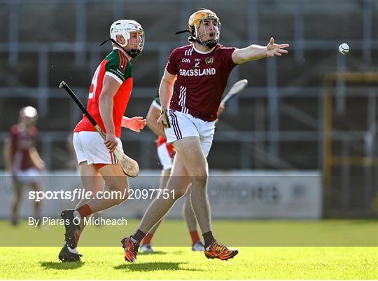 James Stephen's v Dicksboro - Kilkenny County Senior Hurling Championship Quarter-Final