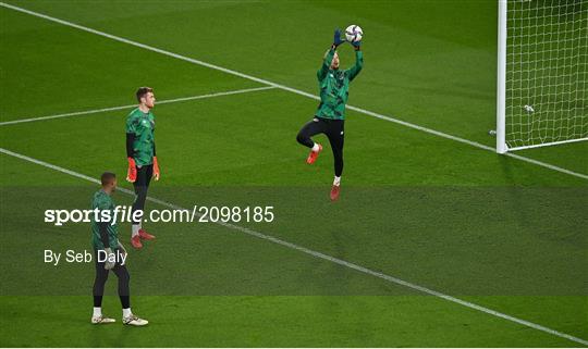 Republic of Ireland v Qatar - International Friendly