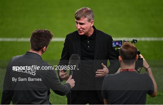 Republic of Ireland v Qatar - International Friendly