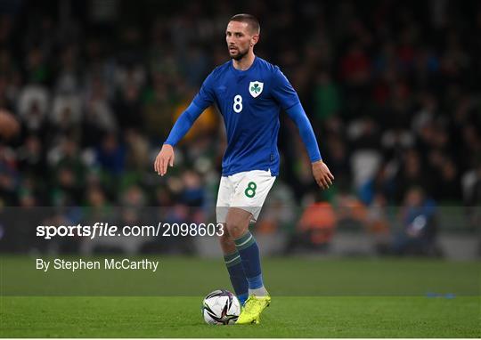 Republic of Ireland v Qatar - International Friendly