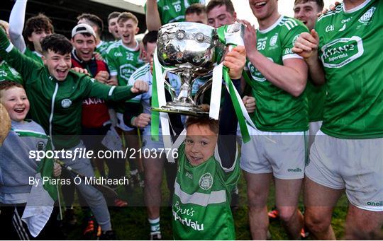 Kilmallock v Patrickswell - Limerick County Senior Club Hurling Championship Final