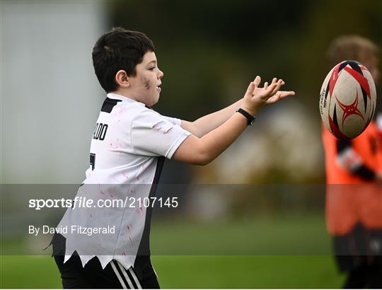 Leinster Rugby Halloween Mini Training Session at Enniscorthy RFC
