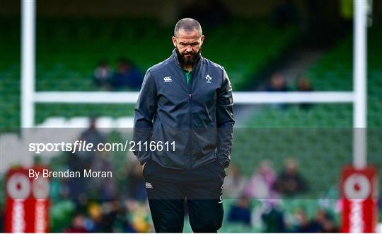 Ireland v Japan - Autumn Nations Series