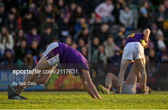 St Peter's Dunboyne v Wolfe Tones - Meath County Senior Club Football Championship Final