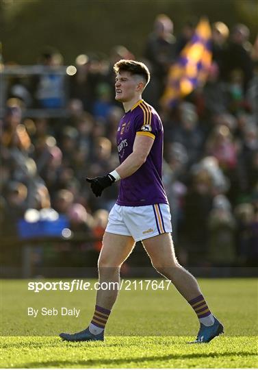 St Peter's Dunboyne v Wolfe Tones - Meath County Senior Club Football Championship Final St Peter's Dunboyne v Wolfe Tones - Meath County Senior Club Football Championship Final