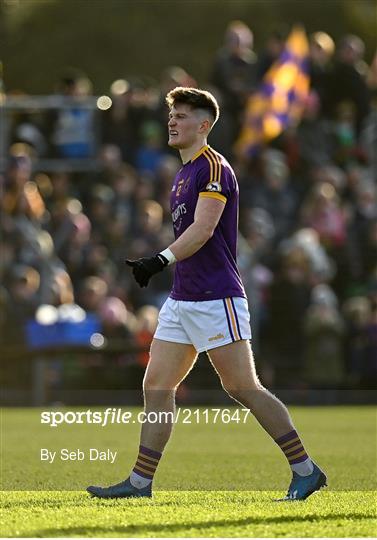 St Peter's Dunboyne v Wolfe Tones - Meath County Senior Club Football Championship Final