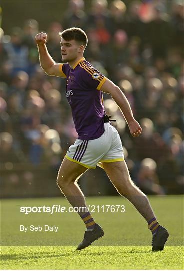 St Peter's Dunboyne v Wolfe Tones - Meath County Senior Club Football Championship Final