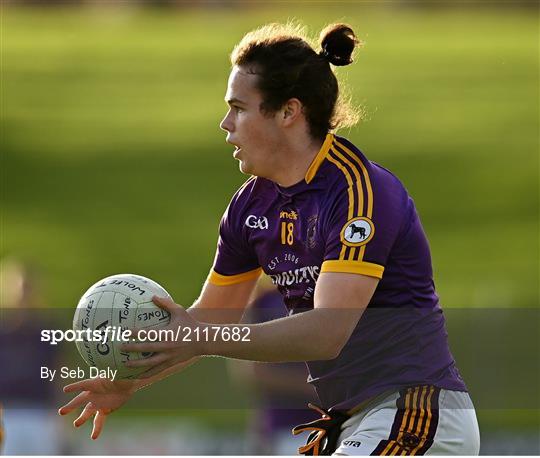 St Peter's Dunboyne v Wolfe Tones - Meath County Senior Club Football Championship Final