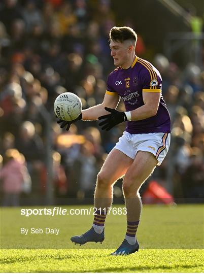 St Peter's Dunboyne v Wolfe Tones - Meath County Senior Club Football Championship Final